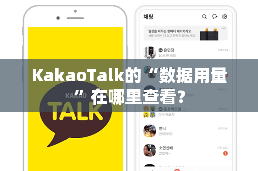 KakaoTalk的“数据用量”在哪里查看？