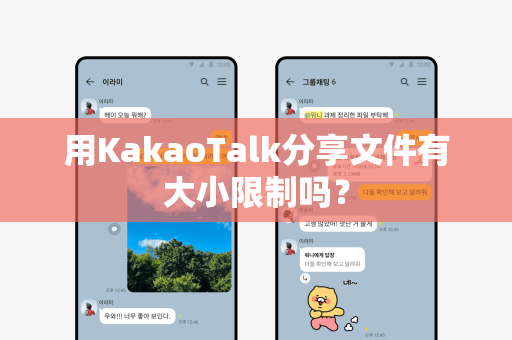 用KakaoTalk分享文件有大小限制吗？